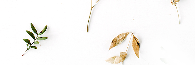 Blätter und Blüten