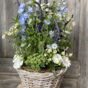 Blumen im Gefäß Exklusiv