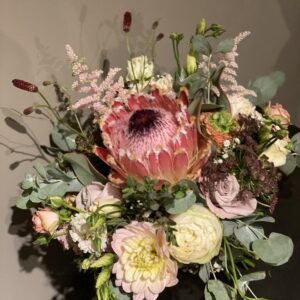 Protea Dream